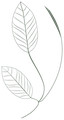 Logo Mara Pinheiro